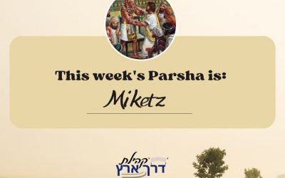 Parshat Miketz