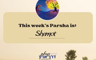 Parshat Shemot
